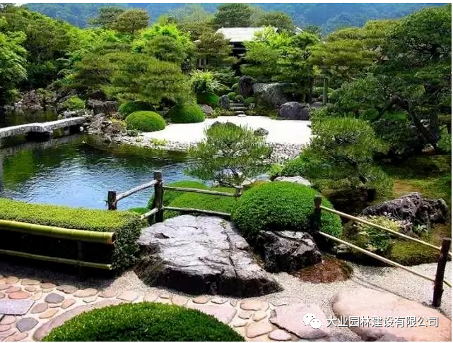 植物設(shè)計(jì)師必須懂的|{綠化養(yǎng)護(hù)問題}
